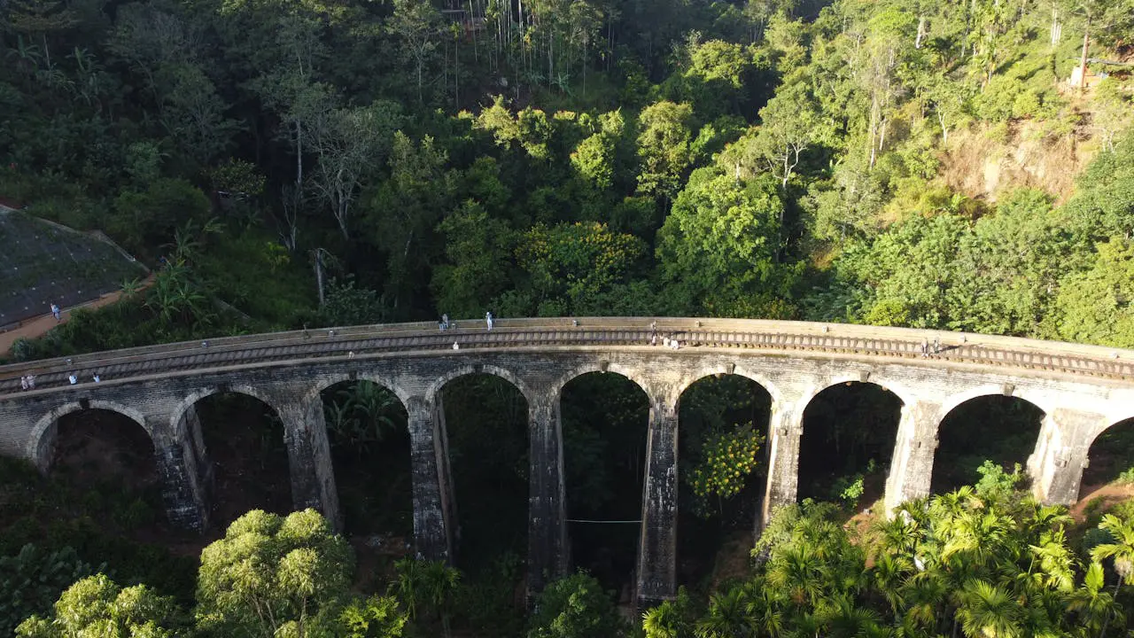 Ceylon Harmony - Peaks, Plains & Shores