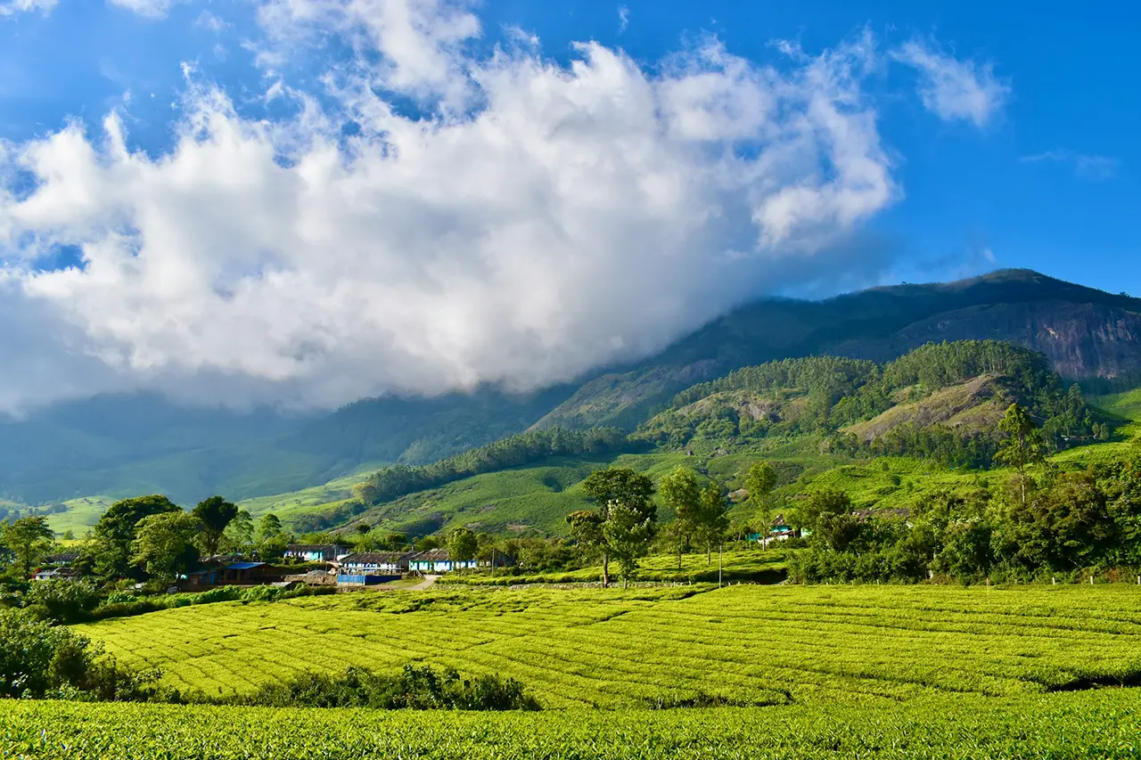 Soulful South Kerala – Beyond the Crowds