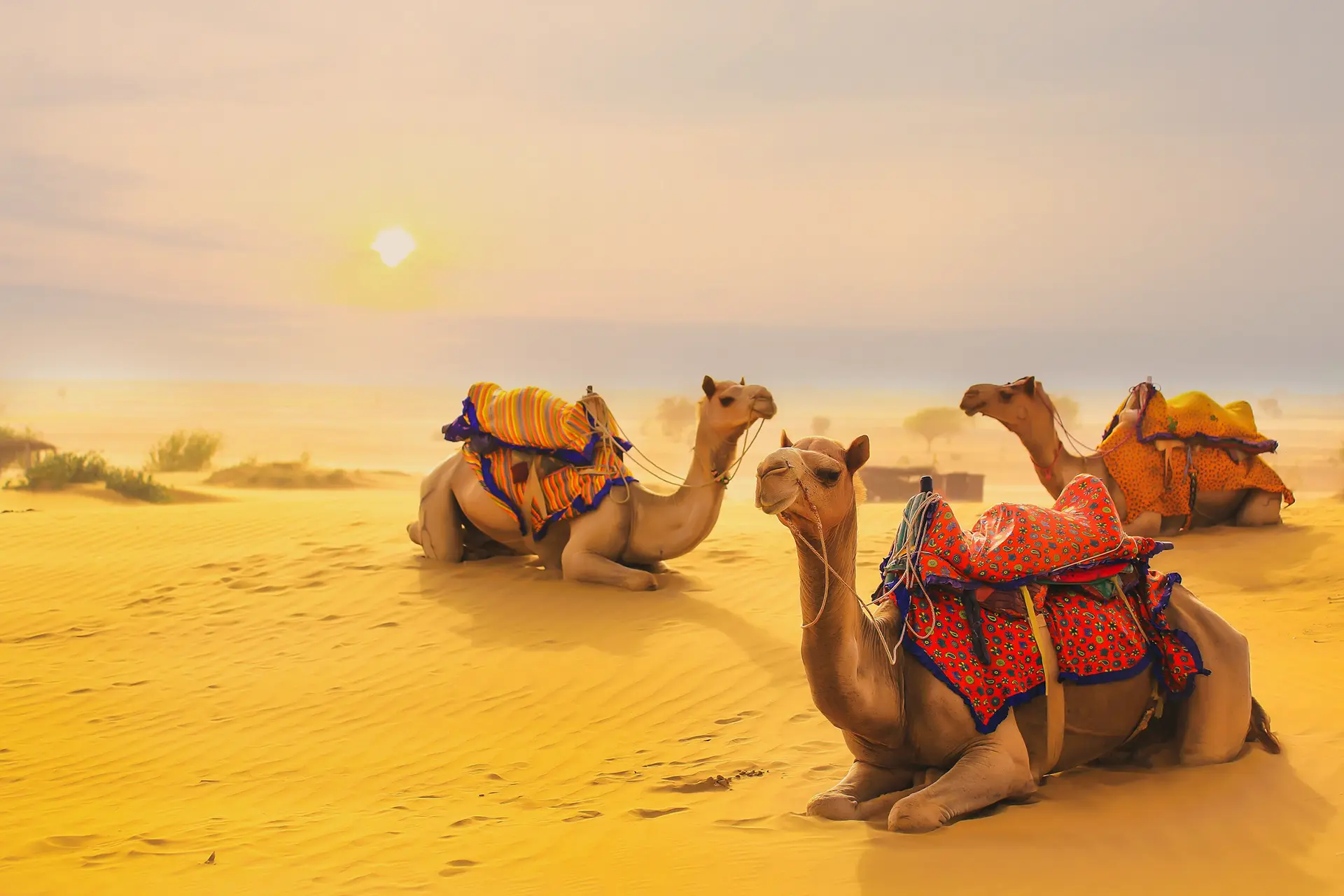 Golden Sands of Jaisalmer