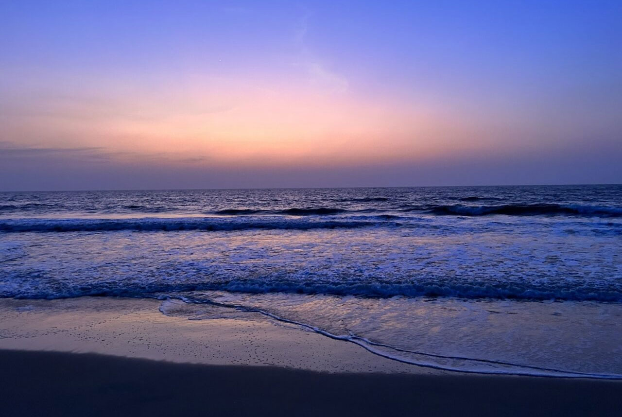Blog
